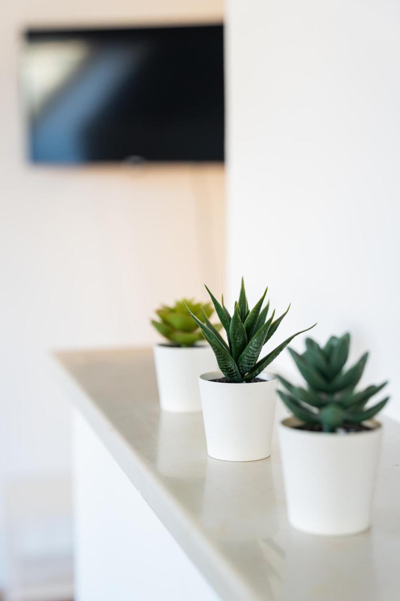Apartament Luxury Penthouse - Augarten