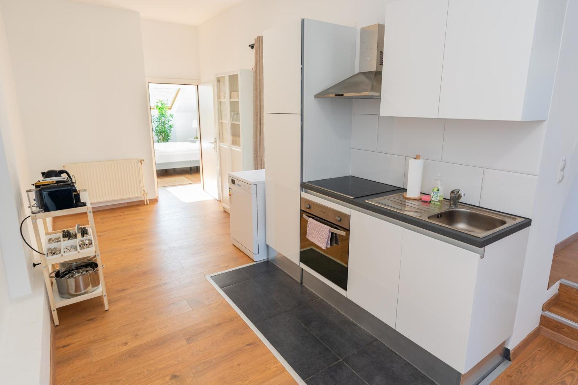 Apartament Luxury Penthouse - Augarten *